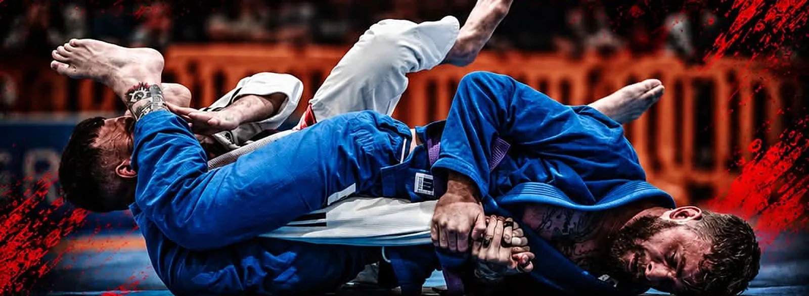 Trevor White, in a blue gi, finishing an armbar from the back in an IBJJF match
